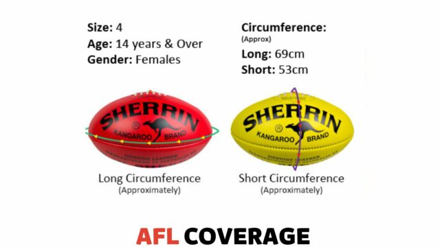 AFL Football Sizes: Dimension, Price, and More
